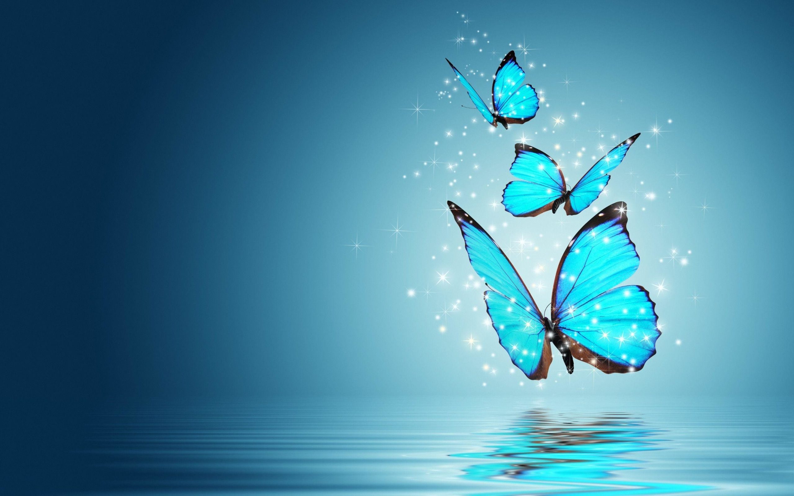 Butterfly Scaled Butterfly Scaled