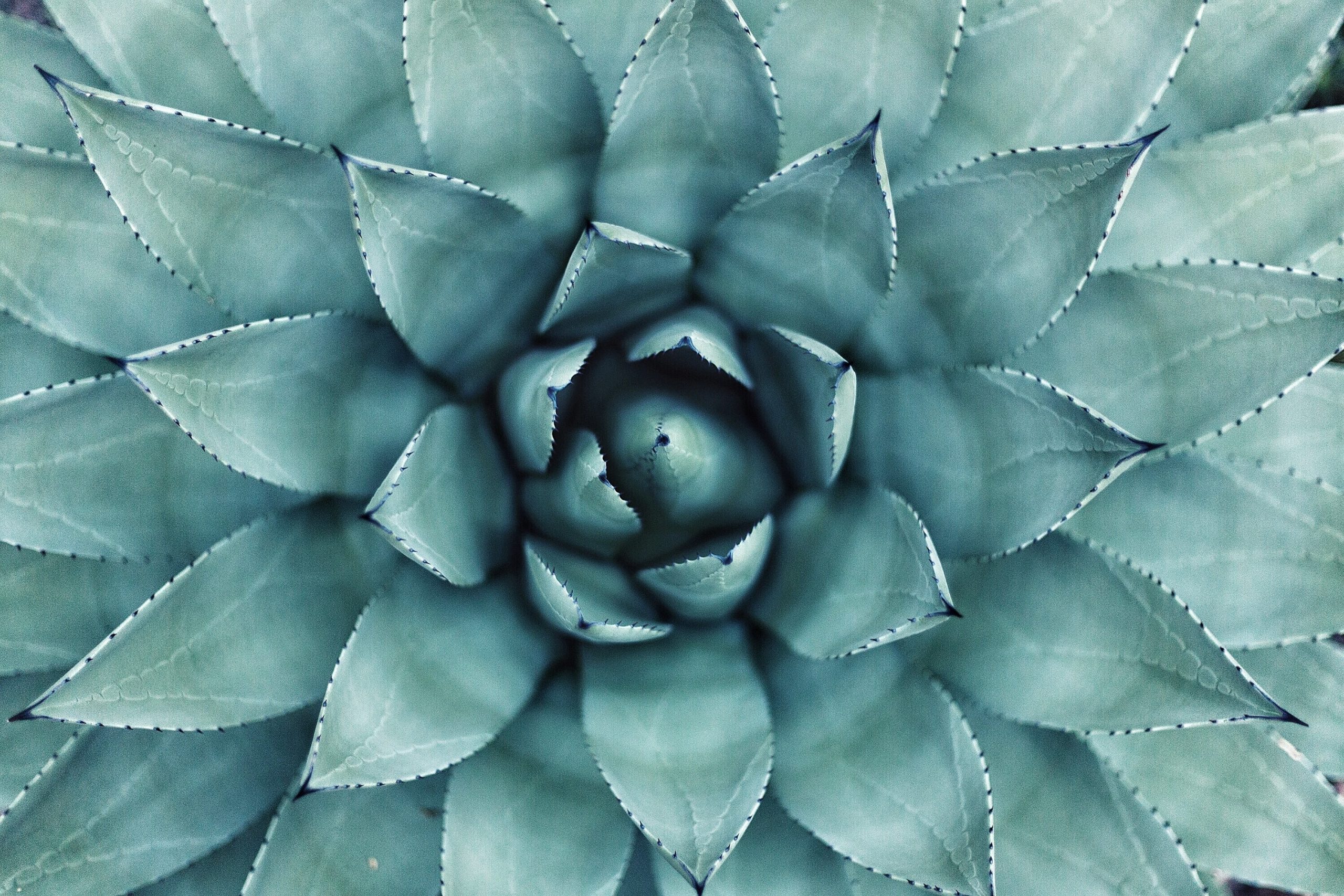 Erol Ahmed AIYFR0vbADk Unsplash Scaled Erol Ahmed AIYFR0vbADk Unsplash Scaled