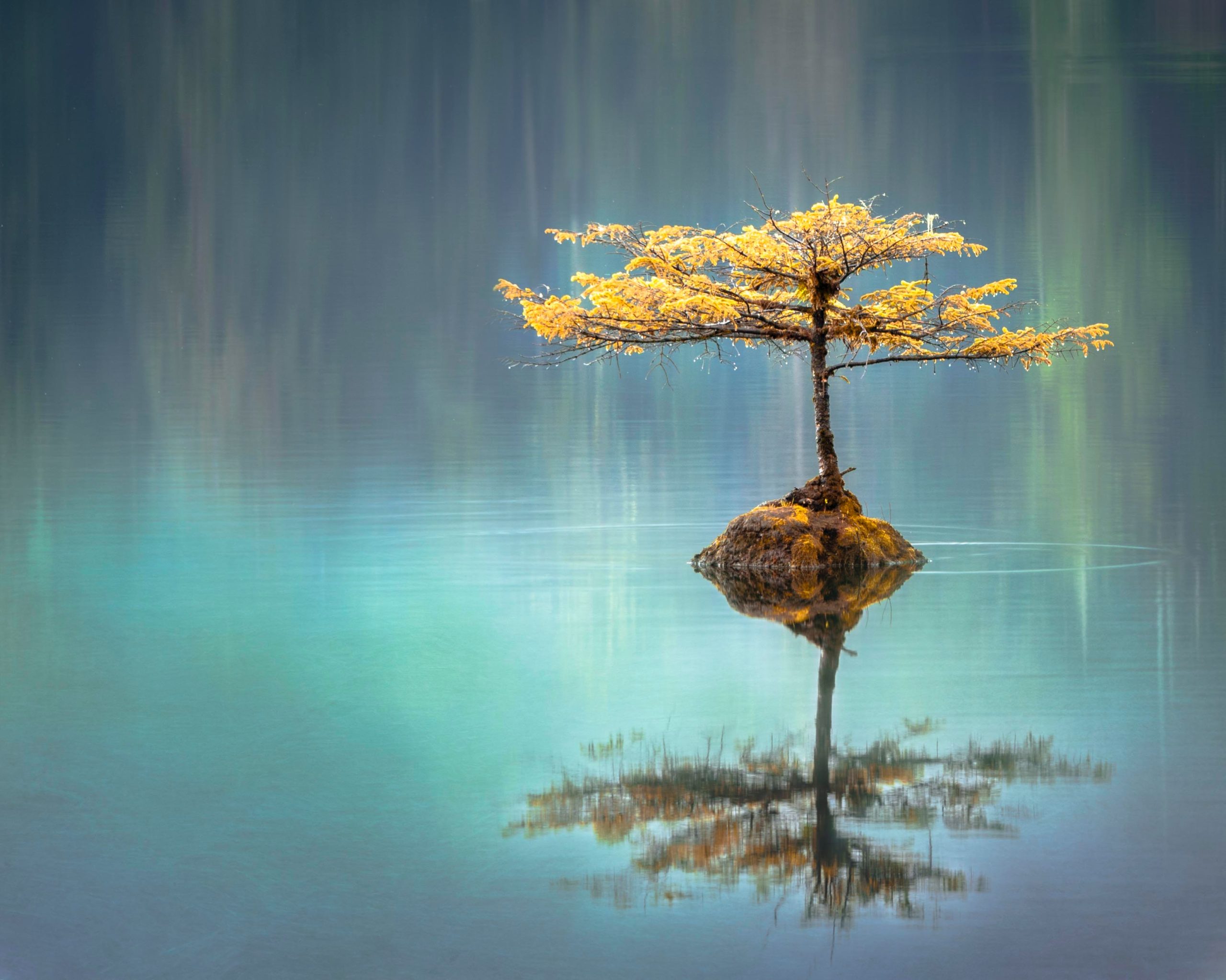 Faye Cornish Uq3gTiPlqRo Unsplash Scaled Faye Cornish Uq3gTiPlqRo Unsplash Scaled