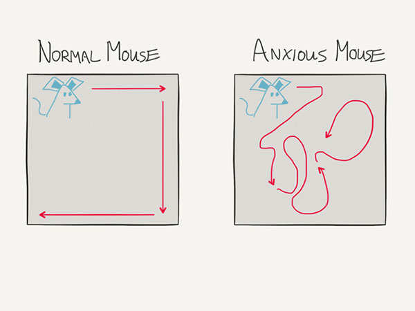 normal mouse versus anxious mouse drawing