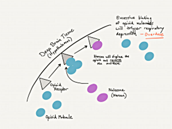 CeDAR Opioid Addiction Early Stabilization Topics And Safety Image 01