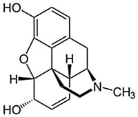 Morphine molecule vs Fentanyl molecule