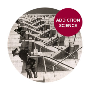 CeDAR Addiction Science Addiction Treatment Levels Of Care