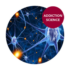 CeDAR Addiction Science Neuroplasticity And The Prefrontal Cortex