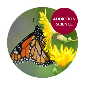 CeDAR Addiction Science Stages Of Change