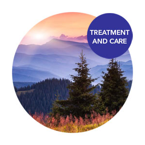 CeDAR Treatment And Care An Introductory Clinical Evlaluation