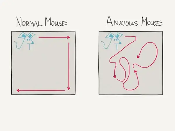 normal mouse versus anxious mouse drawing